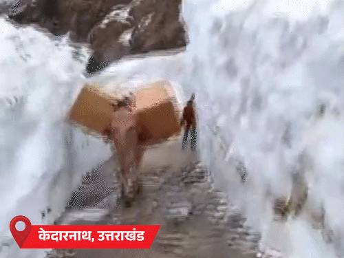 Comp 29 1 1775236958