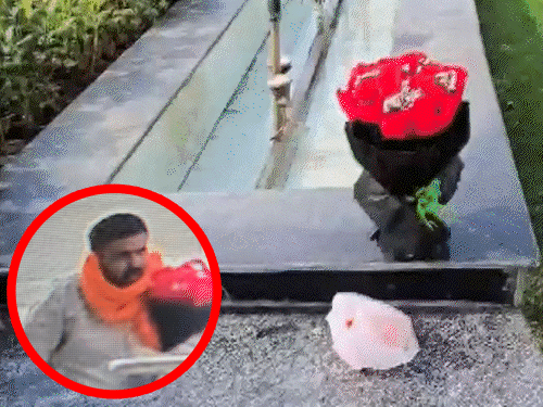 Comp 29 2 1775478765