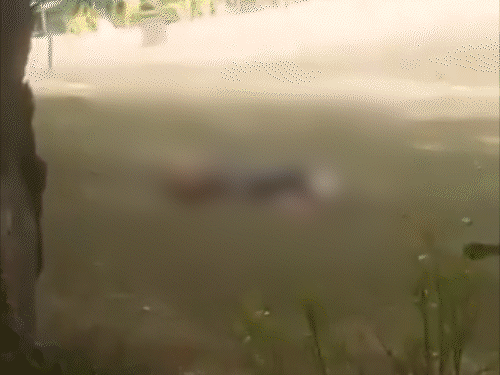 Gifs2617453233751750081290 1776747103