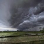 Monsoon In India 1 1776045975