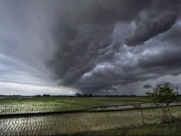 Monsoon In India 1 1776045975