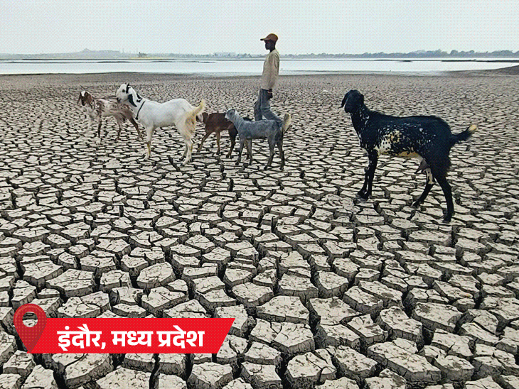 weather MP rajasthan Maharashtra gujarat heatwave UP bihar Uttarakhand rain snowfall