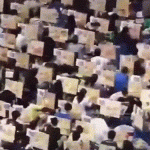 54 1781150143