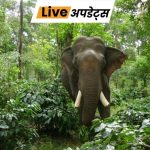 Live Update Centre 10 1780707639