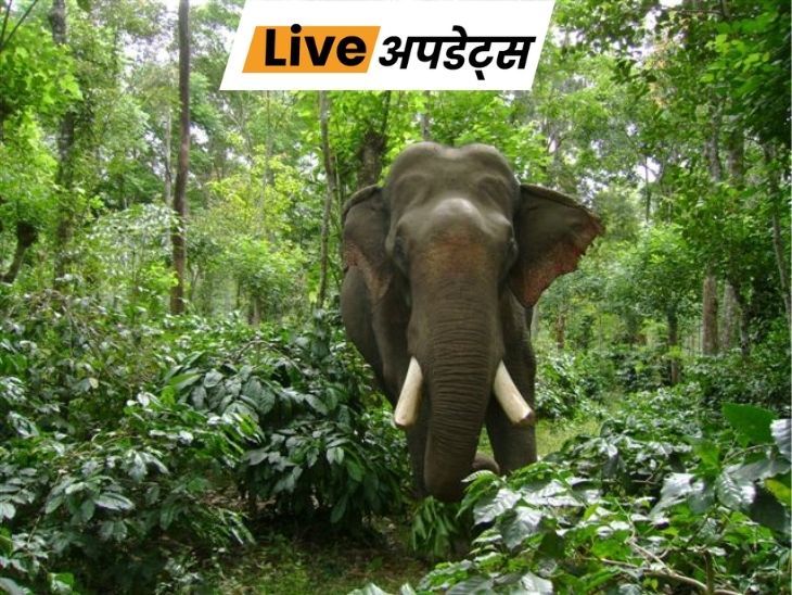 Rajasthan, Delhi, MP, UP, Maharashtra, Mumbai