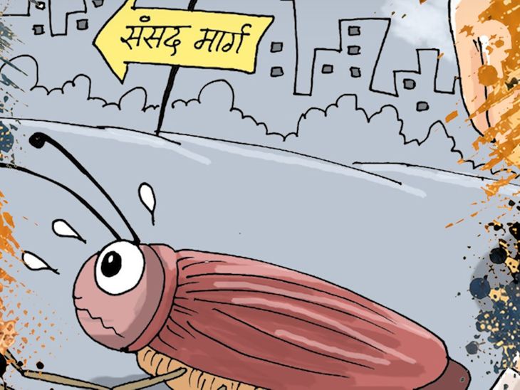 कार्टून में देखें CJP प्रोटेस्ट और सियासत:दिल्ली के जंतर-मंतर पर चल रहे छात्र आंदोलन और इसके पीछे की सियासत को कार्टूनिस्ट ने कैसे देखा