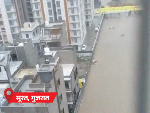 MP Youth Swept Away | Surat Flood Kills 19 in 3 Days; Lightning Strikes UP-Bihar