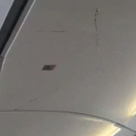 Gifs 42 1785833504006